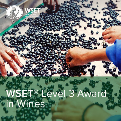 WSET Level 3 Award Wines