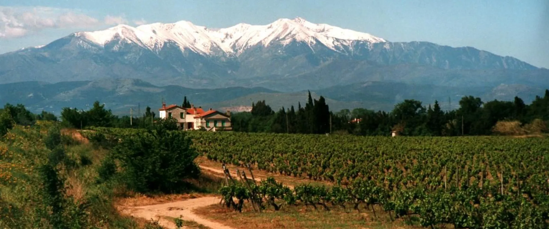 Canigou