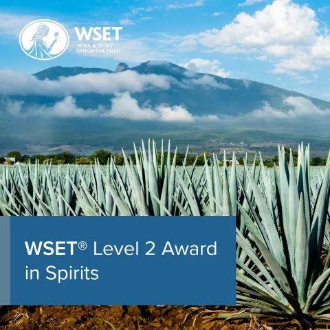 WSET Level 1 Award in Wines