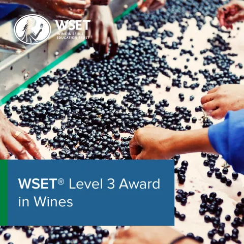 WSET Level 3 Award in Wines | AccademiaVino WSET