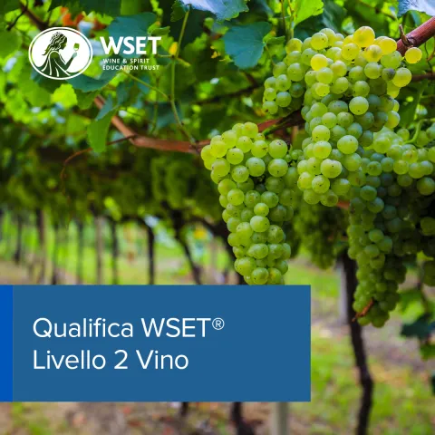 WSET Level 2 Award in Wines
