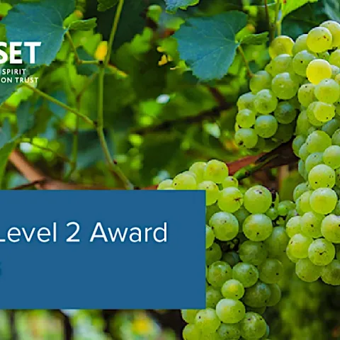 WSET Level 2 Award in Wines