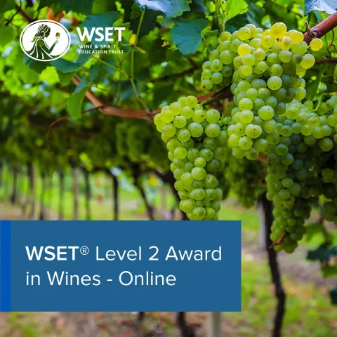 WSET Level 2 Award in Wines