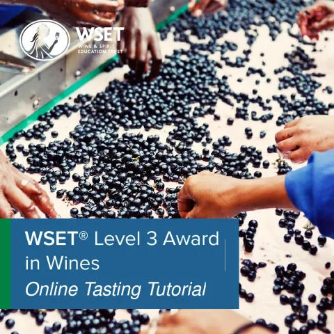 WSET Level 3 Wines Tutorial