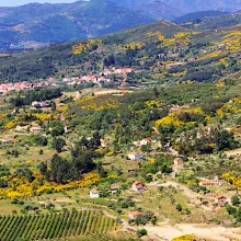 Dão Serra de Estrela